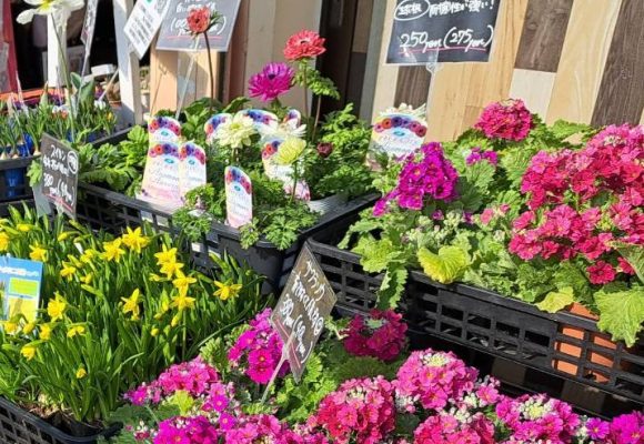 【長丘】お買い物🌼