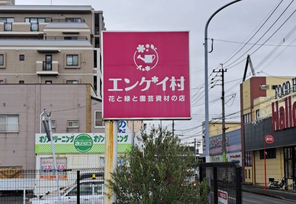 【長丘】🌷ドライブ🌷