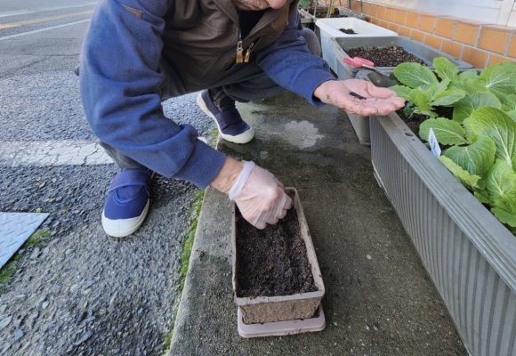【老司】お買い物（野菜の種🥬）