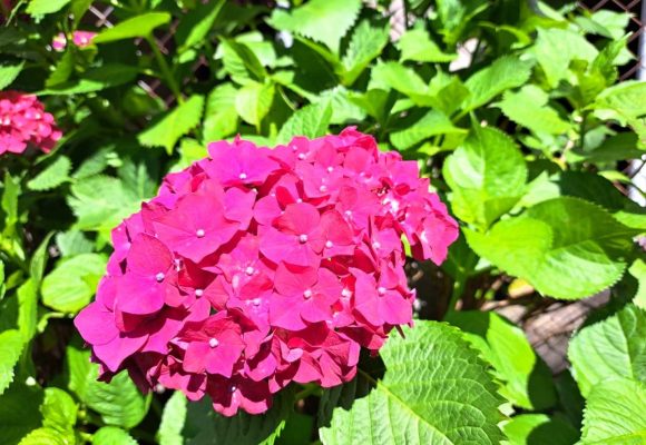 【長丘】おさんぽ🌞