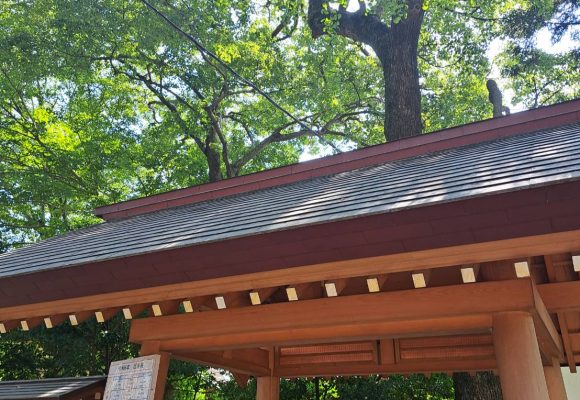 【長丘】🚶‍➡️お散歩🚶