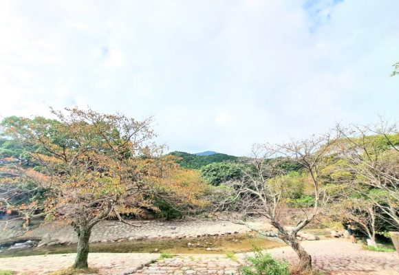 【長丘】お散歩🚶♬