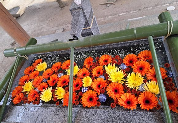 【長丘】現人神社へ🌸